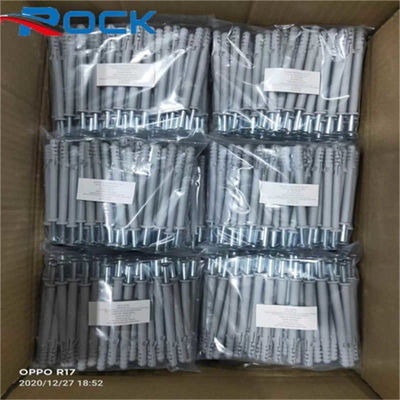 Stainless Steel Expansion Nail 10*160mm White Plastic Wall Anchor